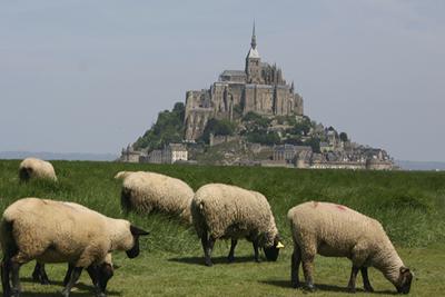 Le Mont Saint Michel à 45 min de Saint Malo un lieu magique rempli d'histoire